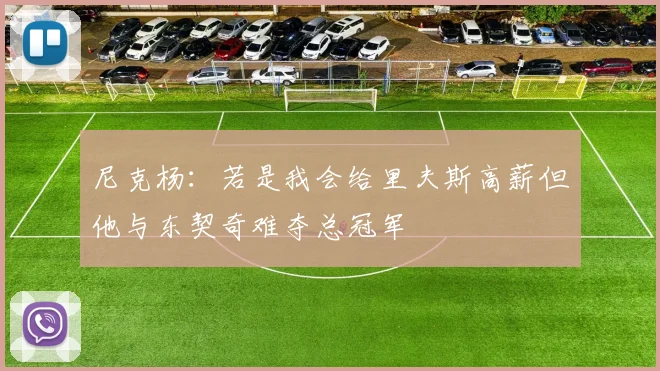 尼克杨：若是我会给里夫斯高薪但他与东契奇难夺总冠军