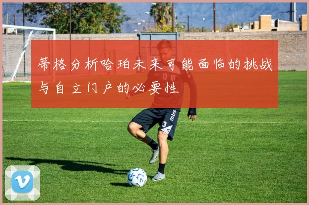 蒂格分析哈珀未来可能面临的挑战与自立门户的必要性